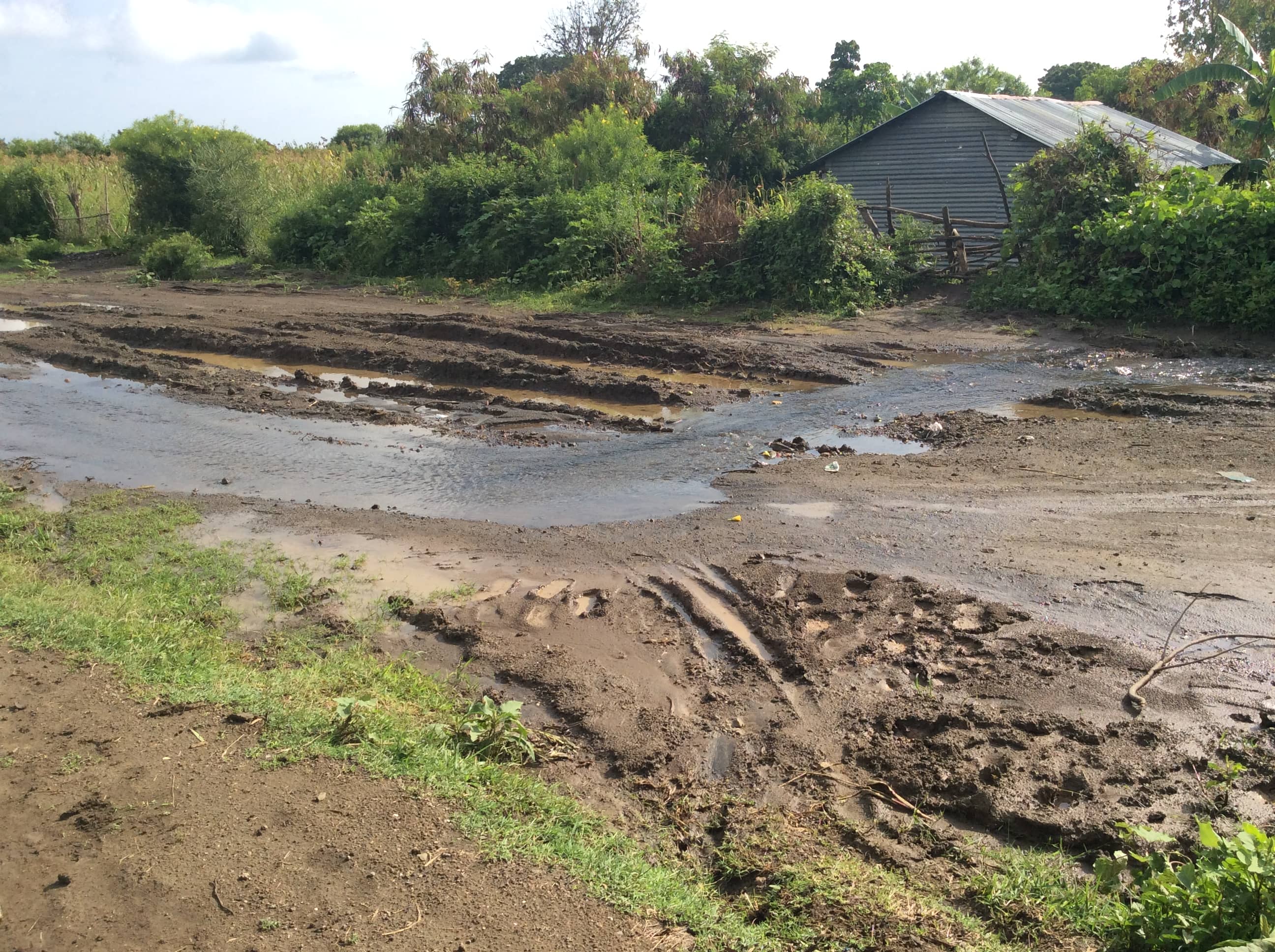 Construction Progress